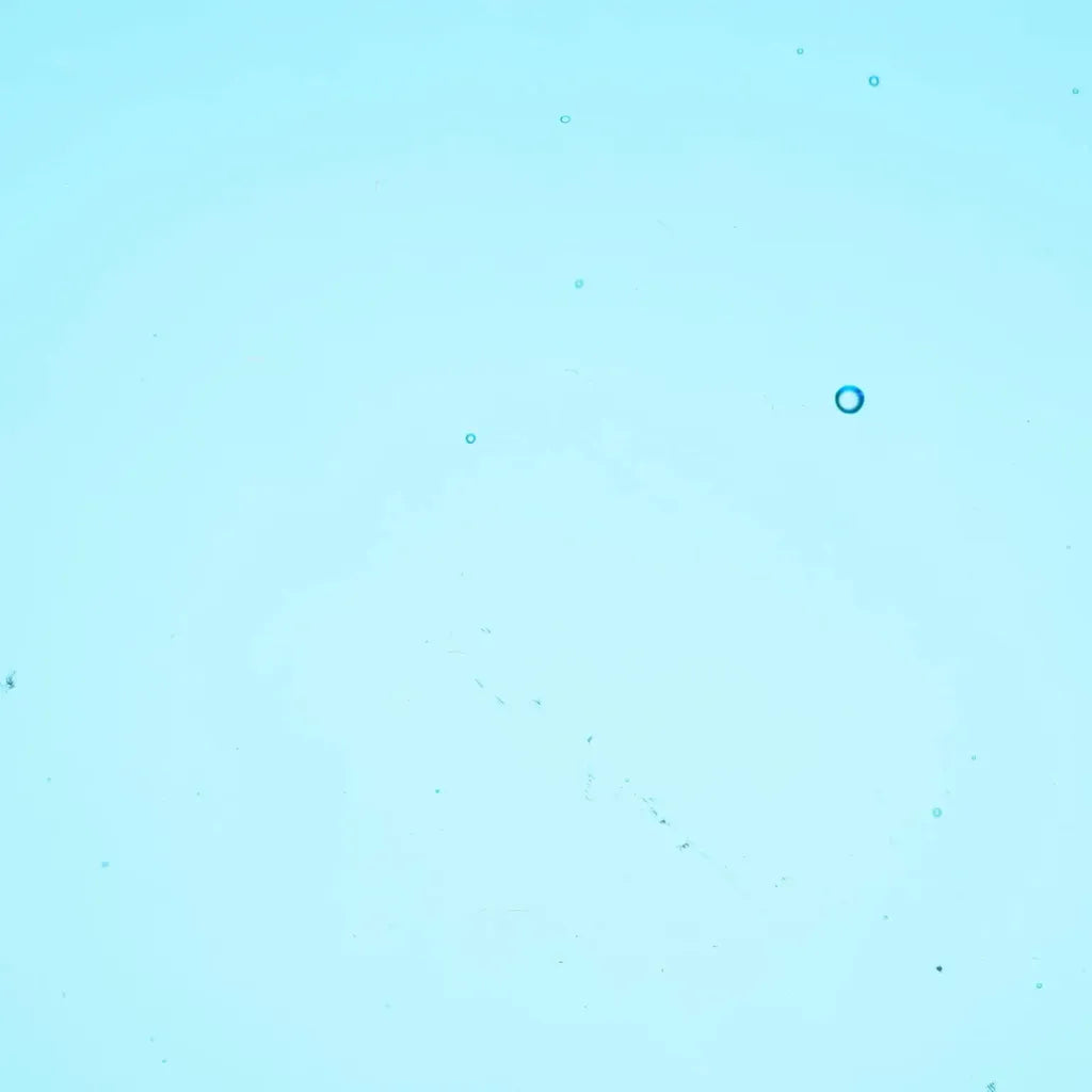 W 96-13 Deep Sky Blue trans