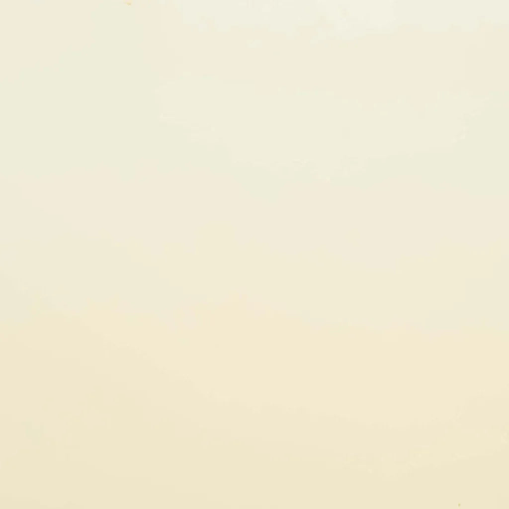 W 96-09 Oyster Opal